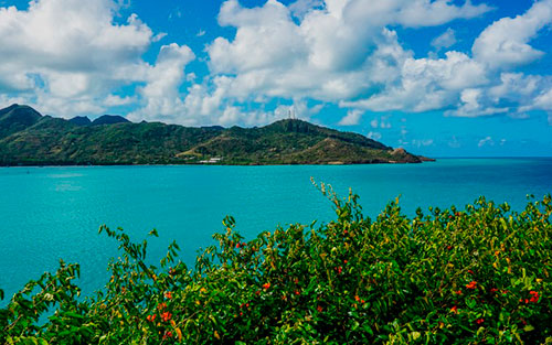 Santa-Catalina - Insular