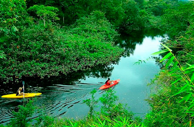 amazonas colombiano