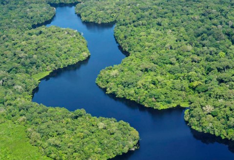 rio amazonas colombia