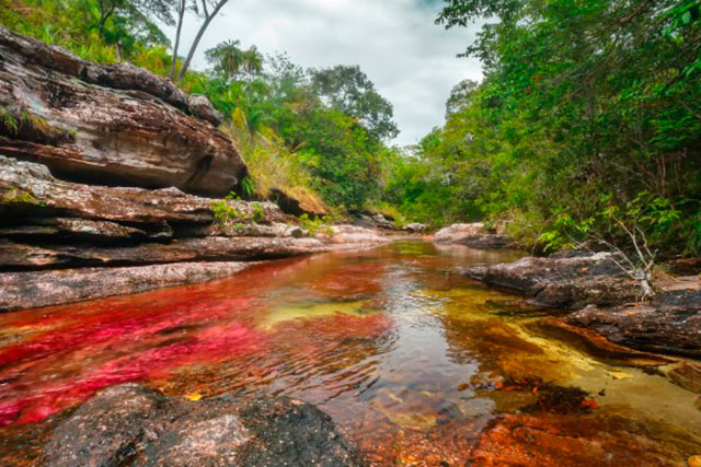 caño cristales