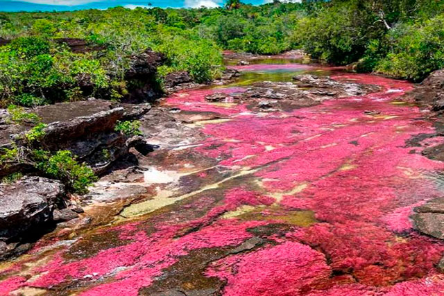 rio caño cristales