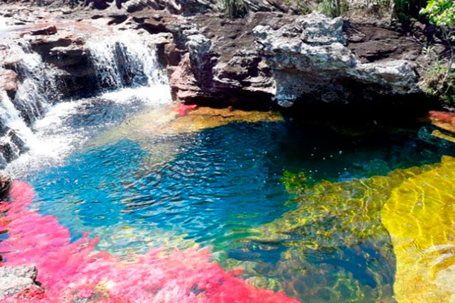 caño cristales meta