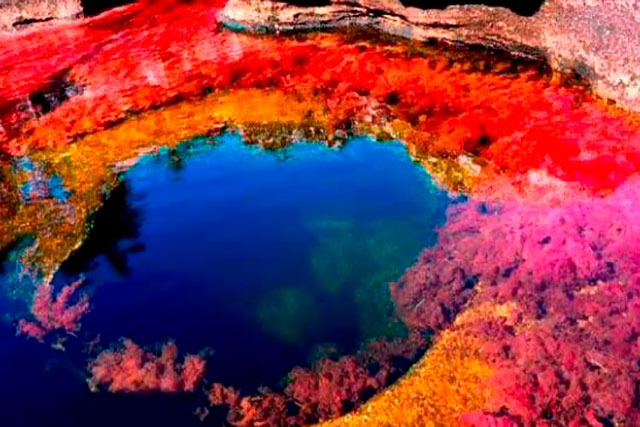 rio caño cristales