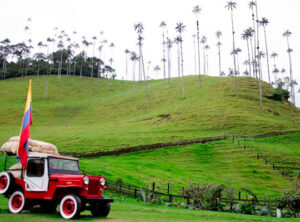 Valle cocora