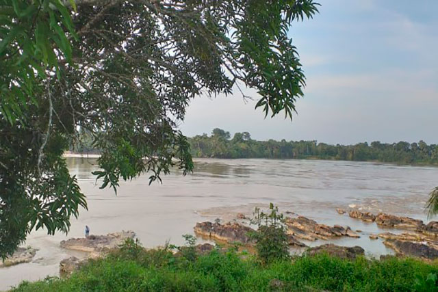 La Pedrera Amazonía