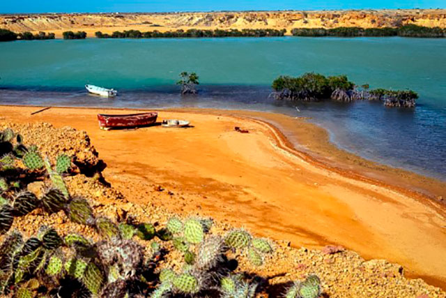 alta guajira