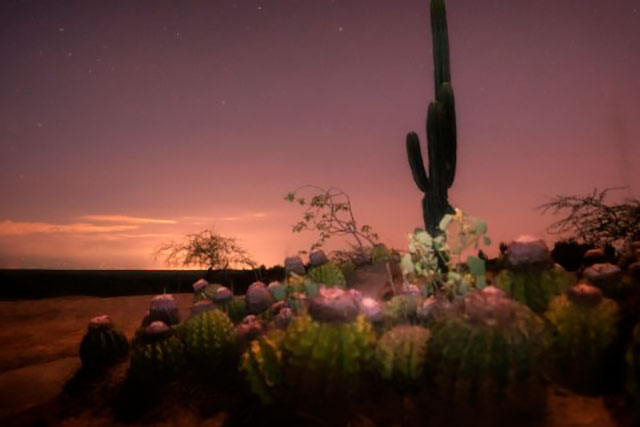 noche desierto tatacoa