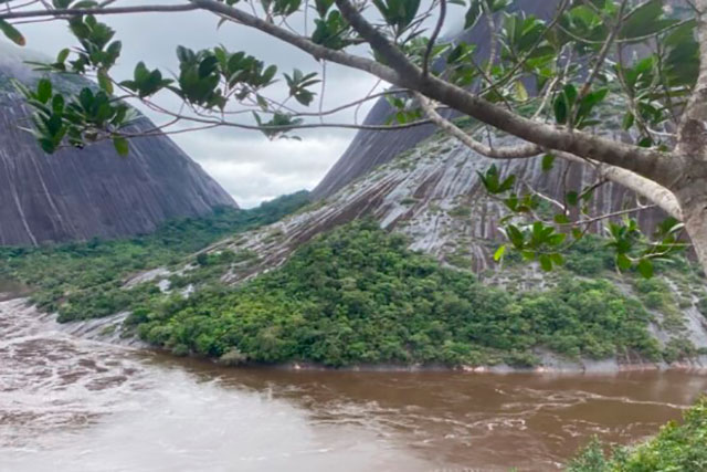 selva y río cerros de mavecure